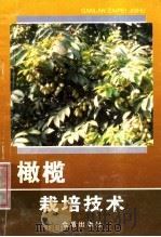 橄榄栽培技术   1996  PDF电子版封面  7508201868  彭成绩等编著 