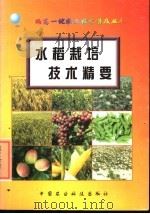 水稻栽培技术精要（1999 PDF版）