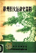 漳州妇女运动史资料  1     PDF电子版封面     