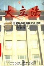 大立法  一个记者眼中的中国立法进程   1997  PDF电子版封面  7220036329  阿计著 