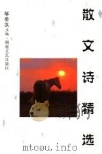 散文诗精选  1993-1998   1998  PDF电子版封面  7540419458  邹岳汉主编 