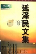 延泽民文集  第2卷  长篇小说卷（1999 PDF版）