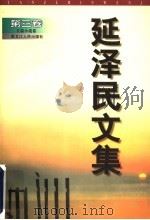 延泽民文集  第3卷  长篇小说卷（1999 PDF版）