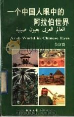 一个中国人眼中的阿拉伯世界   1996  PDF电子版封面  7801271785  吴富贵著 