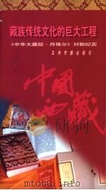 藏族传统文化的巨大工程：《中华大藏经·丹珠尔》对勘纪实   1996  PDF电子版封面  7801131673  吴伟著 