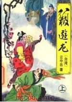 八极游龙  上   1993  PDF电子版封面  7538700828  （台湾）云中岳著 