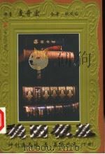 稳固根基：神创造天地至基督降临  下   1999.07  PDF电子版封面  7801231821  麦奇宏原著；欧凤仙合著；圣路易中华福音教会译 