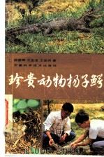 珍贵动物扬子鳄   1984  PDF电子版封面  13200·55  陈壁辉等著 