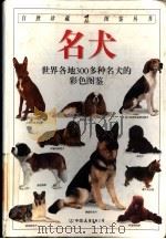 名犬   1997  PDF电子版封面  750571323X  （英）大卫·阿尔德顿（David Alderton）著；（英 