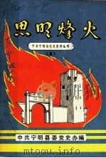 思明烽火  1   1987  PDF电子版封面    中共宁明县委党史办公室编 