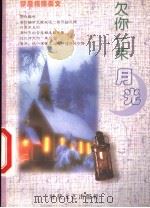 欠你一束月光   1999  PDF电子版封面  7538713441  李翔主编 