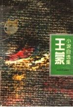 王蒙小说自选集   1994  PDF电子版封面  7806050892  王蒙著 