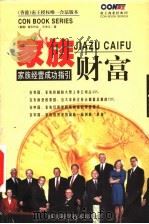 家族财富：家庭经营成功指引   1999  PDF电子版封面  7536439954  （香港）南王作品，王学义著 