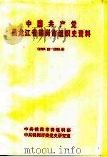 中国共产党黑龙江省鹤岗市组织史资料  1987年11月-1993年8月   1995  PDF电子版封面     