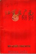 红军在广元   1985  PDF电子版封面    中共广元县委党史工作委员会办公室编 