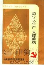 鸡宁大生产支援前线   1993  PDF电子版封面    王金文；周桂芬主编 