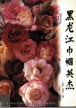 黑龙江巾帼英杰（1995 PDF版）