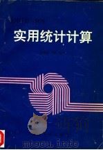 实用统计计算  统计计算与软件   1996  PDF电子版封面  7305029718  高祖新，尹勤编著 