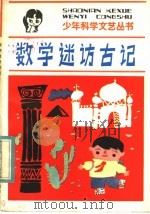 数学迷宫访古记  科学童话   1984  PDF电子版封面  10352·011  李毓佩著 