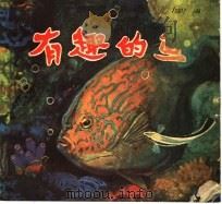 有趣的鱼   1982  PDF电子版封面  8099·2441  赵燕编绘 