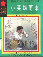 小英雄雨来   1991  PDF电子版封面  7805054266  管桦著 