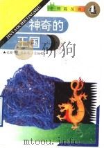 神奇的王国   1993  PDF电子版封面  7560714021  孔繁华，刘淑英，姜远超 