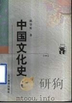 中国文化史  1   1998  PDF电子版封面  7538250409  陈登原著 