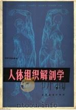 人体组织解剖学  第2版   1981  PDF电子版封面  7040020688  北京师范大学等编 