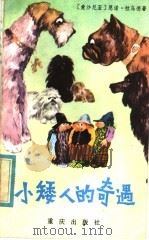 小矮人的奇遇  童话   1982  PDF电子版封面  R10114·5  （苏）恩诺·拉乌德著；李馨亭，曾学儒译 