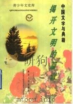 中国文字与典籍  揭开文明的篇章   1995  PDF电子版封面  7216016726  王余光著 