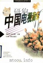 中国电视音乐   1996  PDF电子版封面  7800992071  洪民生，刘文敏主编 