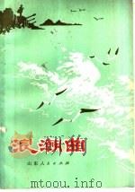 浪潮曲   1977  PDF电子版封面  10099·222  王颖，李荣德著 