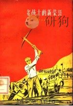 老战士的新荣誉   1959  PDF电子版封面  T3090·226  辽宁省民政厅编 