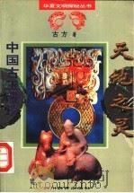 天地之灵：中国古玉漫谈   1996年10月第1版  PDF电子版封面    古方著 