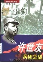 许世友兵团之战（1998 PDF版）
