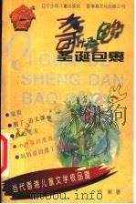 奇怪的圣诞包裹   1998  PDF电子版封面  7531528630  何紫著 