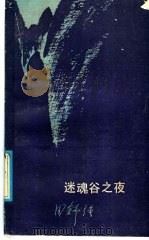 迷魂谷之夜   1986  PDF电子版封面  10456·115  田舒强著 