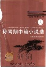 孙鸷翔中篇小说选   1990  PDF电子版封面  753290329X  孙鸷翔著 