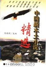 中国新本土小说精选（1995 PDF版）