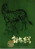 动物速写   1979  PDF电子版封面  8027·7159  袁熙坤绘 