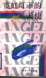 霓虹灯下的天使（1993 PDF版）