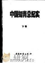 中国知青总纪实  下   1998  PDF电子版封面  7504715441  吴洵，妮娜等编 