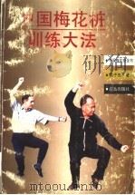 中国梅花桩训练大法（1998 PDF版）