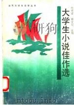 大学生小说佳作选（1992 PDF版）