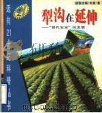 犁沟在延伸  “替代农业”的发展   1995  PDF电子版封面  754063409X  张法瑞，刘英著 