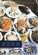 湘菜集锦  续续集（1992 PDF版）