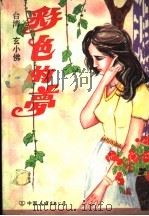 彩色的梦   1989  PDF电子版封面  7505702114  （台湾）玄小佛著 