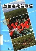 草莓高效益栽培   1994  PDF电子版封面  7109034208  葛会波编著 