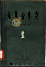 东北春小麦（1963 PDF版）