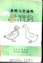番鸭与普通鸭（1983 PDF版）